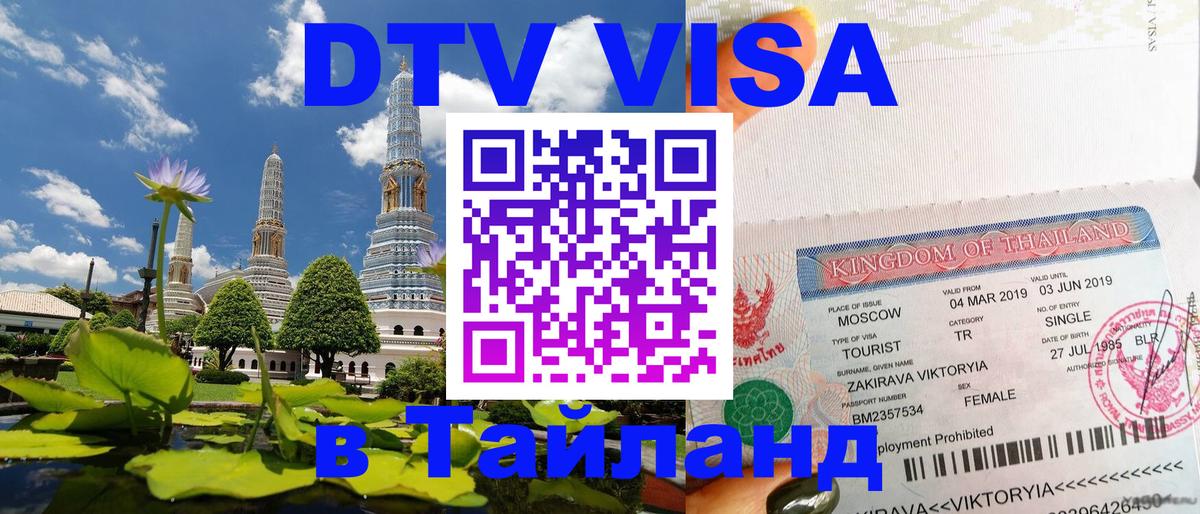 Сколько стоит DTV виза — актуальные цены, оформление даже без документов - 18.11.2025 
